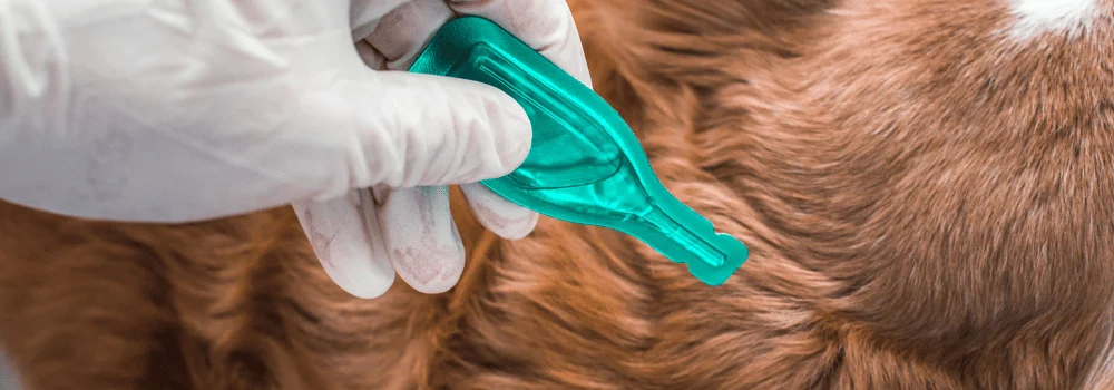 pipetas-para-perros
